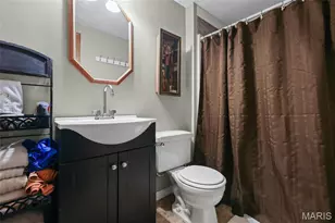 8431 Fawn Hill Ln, House Springs, MO 63051 - Photo 54