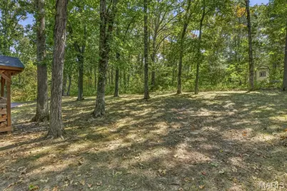 6482 S Lakeshore Drive, Hillsboro, MO 63050 - Photo 52