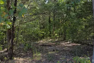 11936 W State Hwy 8, Potosi, MO 63664 - Photo 44
