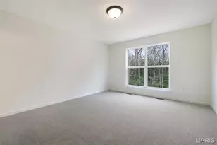 3 Snowdrop Ct, Wentzville, MO 63385 - Photo 18