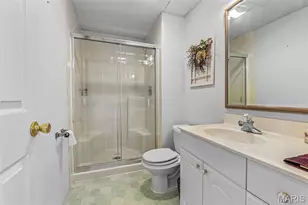 413 Roosevelt Woods Ct, Fenton, MO 63026 - Photo 52