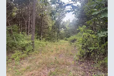32 Acres Pinckney Street, Warrenton, MO 63383 - Photo 6