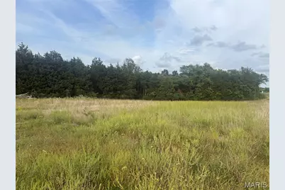 32 Acres Pinckney Street, Warrenton, MO 63383 - Photo 2