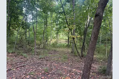 32 Acres Pinckney Street, Warrenton, MO 63383 - Photo 8