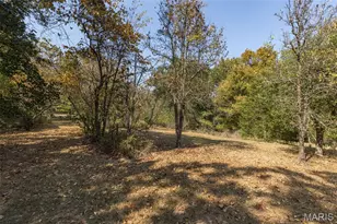 235 Eckardt Ln, Hillsboro, MO 63050 - Photo 14