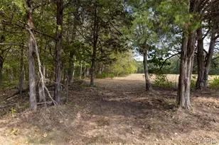 6944 Hillsboro Rd, Bonne Terre, MO 63628 - Photo 84