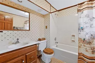 12 Meadow Crest Ct, Saint Charles, MO 63303 - Photo 38