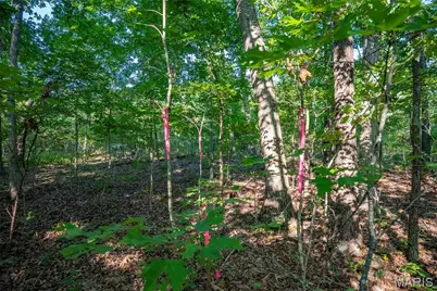 000 County Road 55, Bellerive, MO 63623 - Photo 34