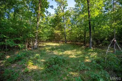 000 County Road 55, Bellerive, MO 63623 - Photo 62