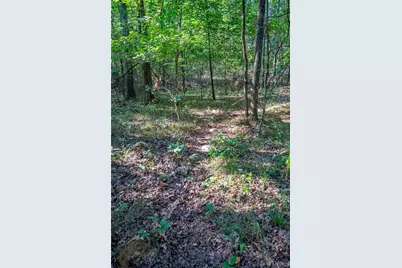 000 County Road 55, Bellerive, MO 63623 - Photo 50