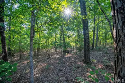 000 County Road 55, Bellerive, MO 63623 - Photo 40