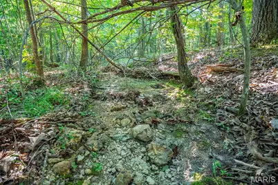 000 County Road 55, Bellerive, MO 63623 - Photo 66
