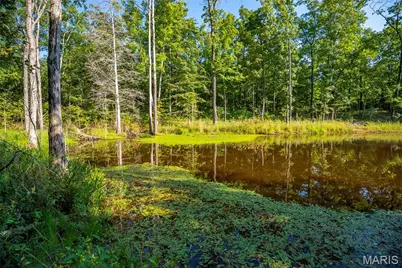 000 County Road 55, Bellerive, MO 63623 - Photo 44