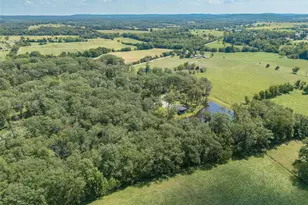 3069 Hwy Oo, Farmington, MO 63640 - Photo 84