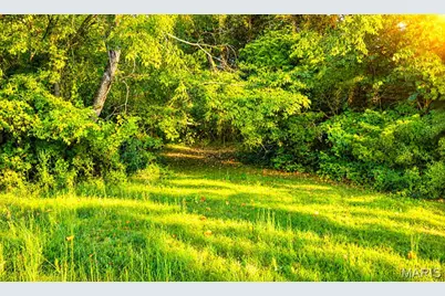 000 Willow Creek Rd Lot 1, Union, MO 63084 - Photo 10