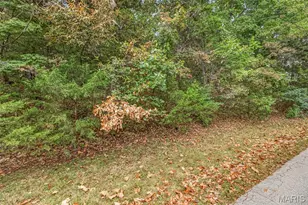 Lot 66A Lake Hill Trail, Hillsboro, MO 63050 - Photo 4