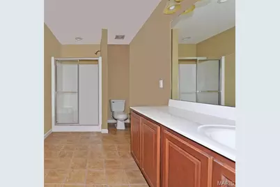 157 Distinction Drive, Lake Saint Louis, MO 63367 - Photo 14