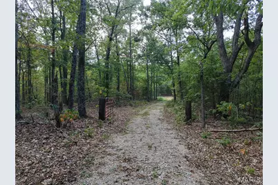 250.96 +/- Delbridge Road, Potosi, MO 63664 - Photo 14
