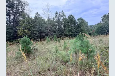 250.96 +/- Delbridge Road, Potosi, MO 63664 - Photo 12