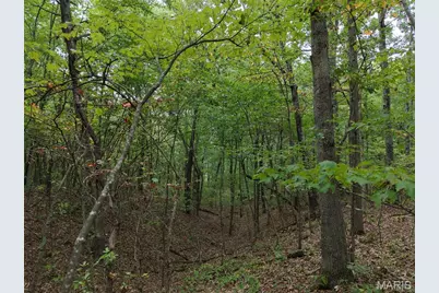 250.96 +/- Delbridge Road, Potosi, MO 63664 - Photo 10