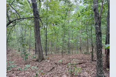 250.96 +/- Delbridge Road, Potosi, MO 63664 - Photo 28