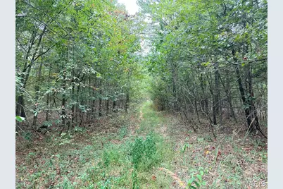 250.96 +/- Delbridge Road, Potosi, MO 63664 - Photo 18