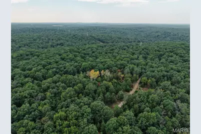 250.96 +/- Delbridge Road, Potosi, MO 63664 - Photo 1