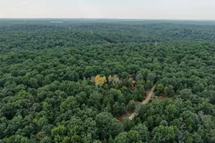 250 96 +/- Delbridge Rd, Potosi, MO 63664 - Photo 1