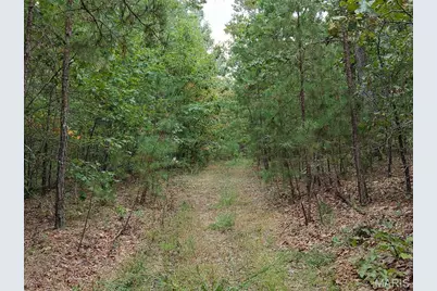 250.96 +/- Delbridge Road, Potosi, MO 63664 - Photo 16