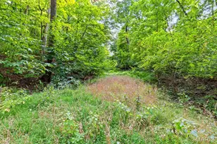 56 River Bend Ct, Chesterfield, MO 63017 - Photo 26