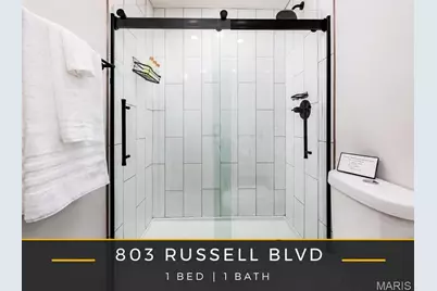 801-803 Russell Blvd, Saint Louis, MO 63104 - Photo 40