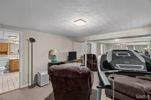 7865 Local Hillsboro Rd, Cedar Hill, MO 63016 - Photo 60