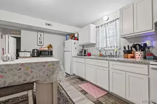 303 Reuter St, Park Hills, MO 63601 - Photo 14