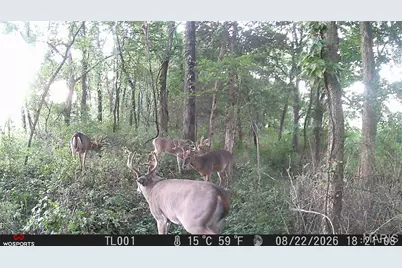 0 Russell Rd. (Tract 5 - 24.80+/- Acres), Troy, MO 63379 - Photo 14