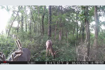 0 Russell Rd. (Tract 6 - 26+/- Acres), Troy, MO 63379 - Photo 22