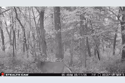 0 Russell Rd. (Tract 6 - 26+/- Acres), Troy, MO 63379 - Photo 26