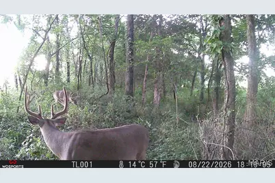 0 Russell Rd. (Tract 6 - 26+/- Acres), Troy, MO 63379 - Photo 14