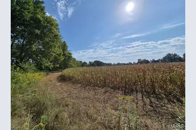 0 Russell Rd. (Tract 6 - 26+/- Acres), Troy, MO 63379 - Photo 6