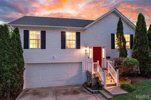 306 Chicago St, Saint Louis, MO 63122 - Photo 1