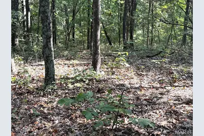 19017 Old Wild Turkey Lane, Wildwood, MO 63069 - Photo 8
