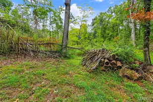 18651 St Albans Rd, Wildwood, MO 63038 - Photo 14