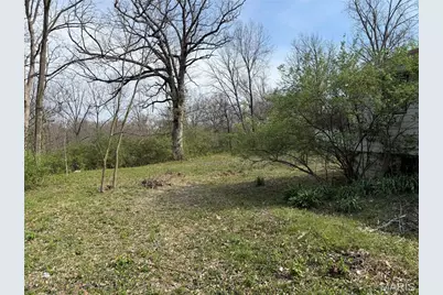 1925 W Woodbine Avenue, Kirkwood, MO 63122 - Photo 4