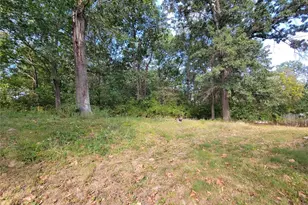 161 Madison Rene Ave, Moscow Mills, MO 63362 - Photo 22