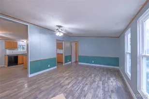 161 Madison Rene Ave, Moscow Mills, MO 63362 - Photo 6