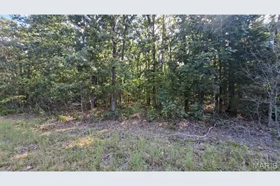 00 Oak Ridge Dr, Bonne Terre, MO 63628 - Photo 4