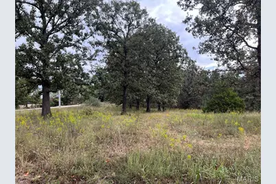 32539 Odessa Drive, Lebanon, MO 65536 - Photo 28
