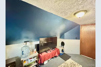 318 1st Street, Monroe City, MO 63456 - Photo 18