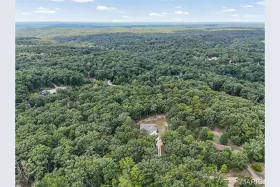 1103 Hickory Court, Valles Mines, MO 63087 - Photo 36