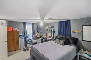 237 Watson Road 225 Hobart St, Sullivan, MO 63080 - Photo 38