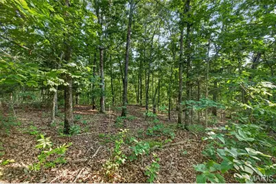 Tbd 005 M- Cantrell Road, Winfield, MO 65704 - Photo 10